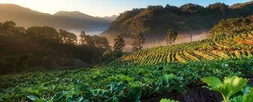 Experiencing God's Abundance & Blessings