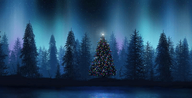 Thoughts on Christmas