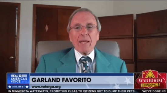 Garland Favorito - Fraud Found in Georgia's Audit