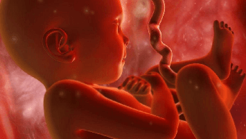 My Abortion Goes Before the Court of Heaven