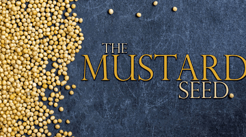 Building Faith for the Miraculous