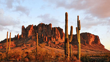 desert flashpoint