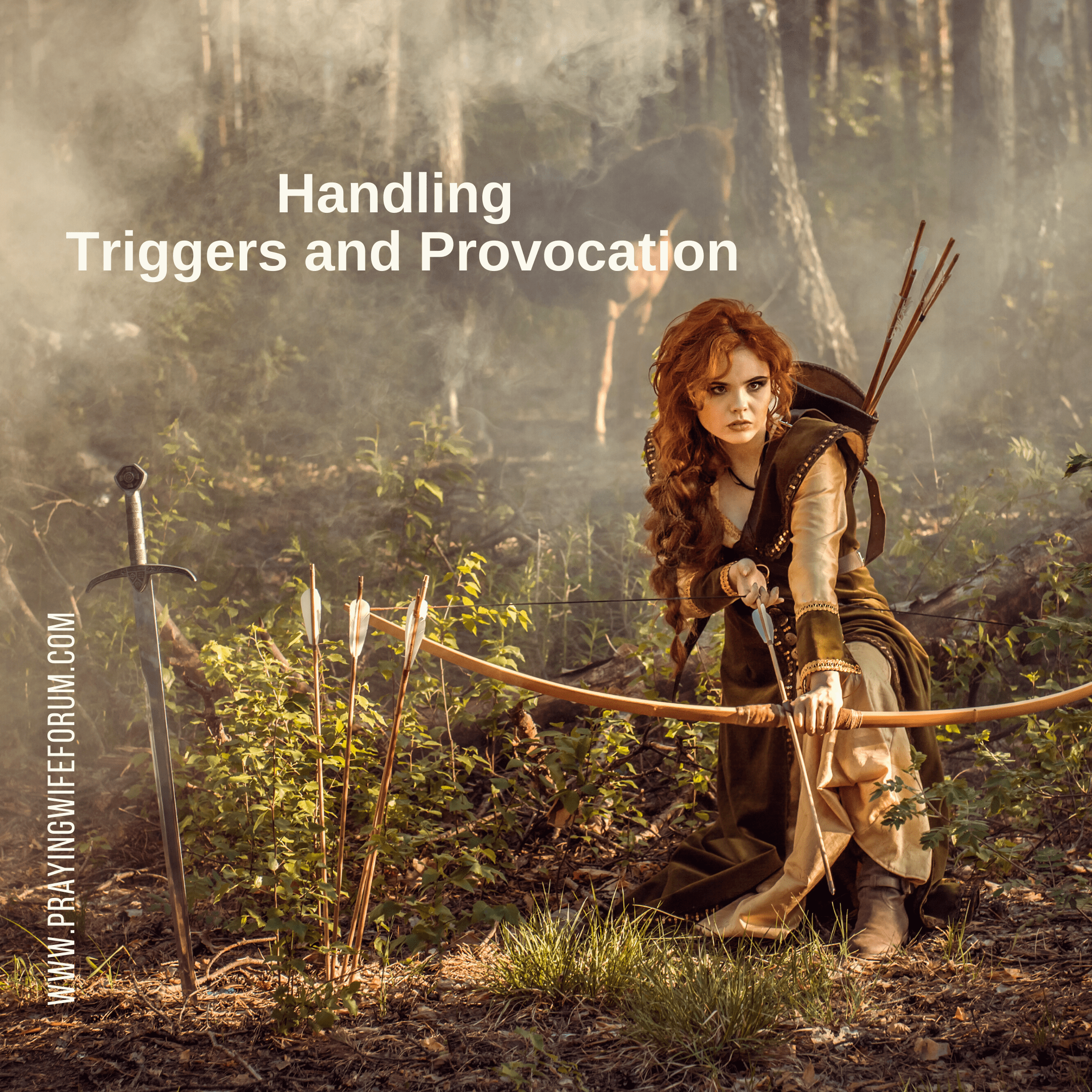 Handling Triggers and Provocation (Bible Study)