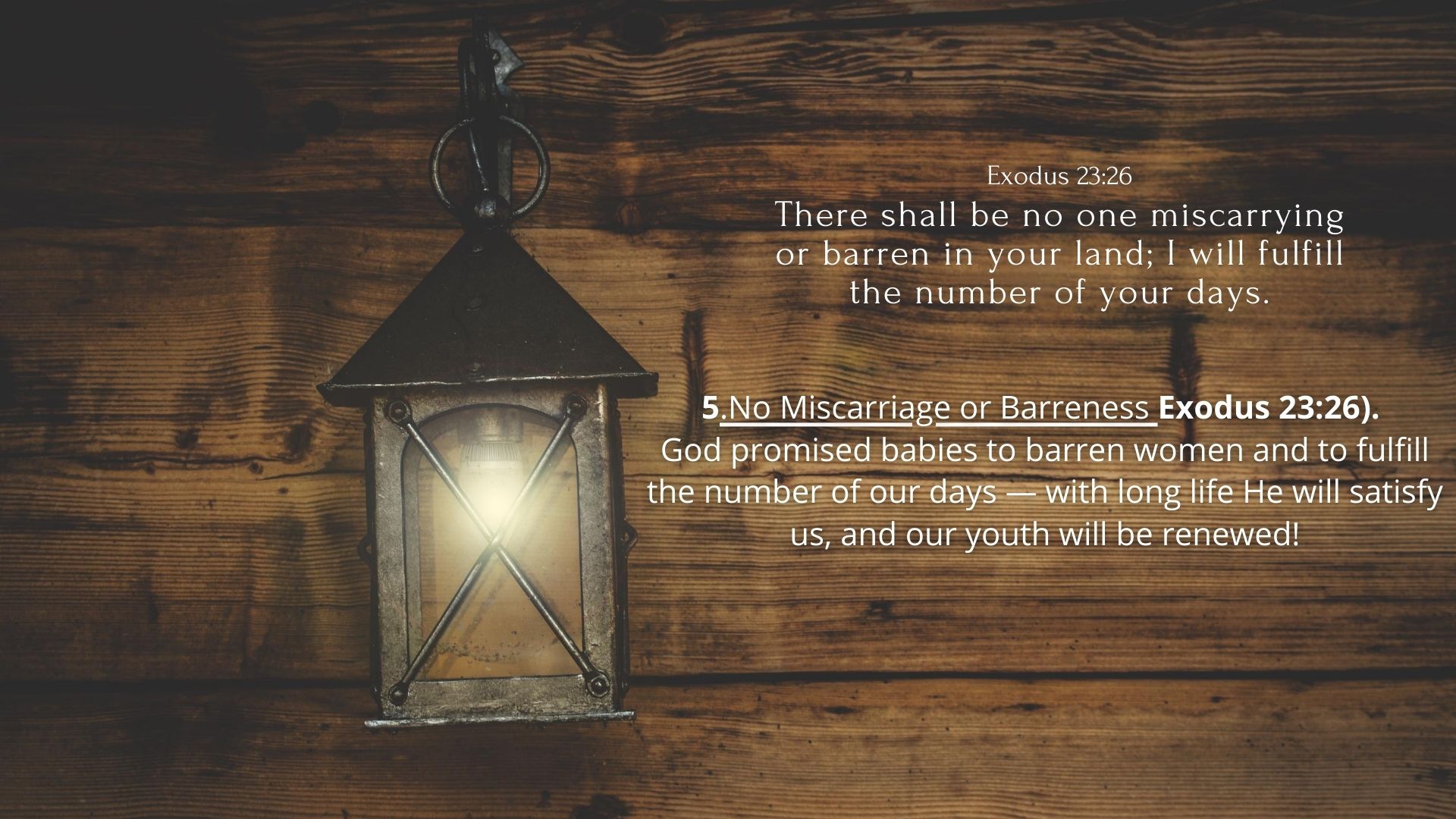 26