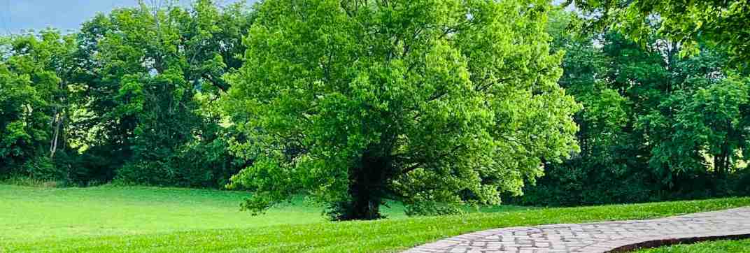 Response to Redemption