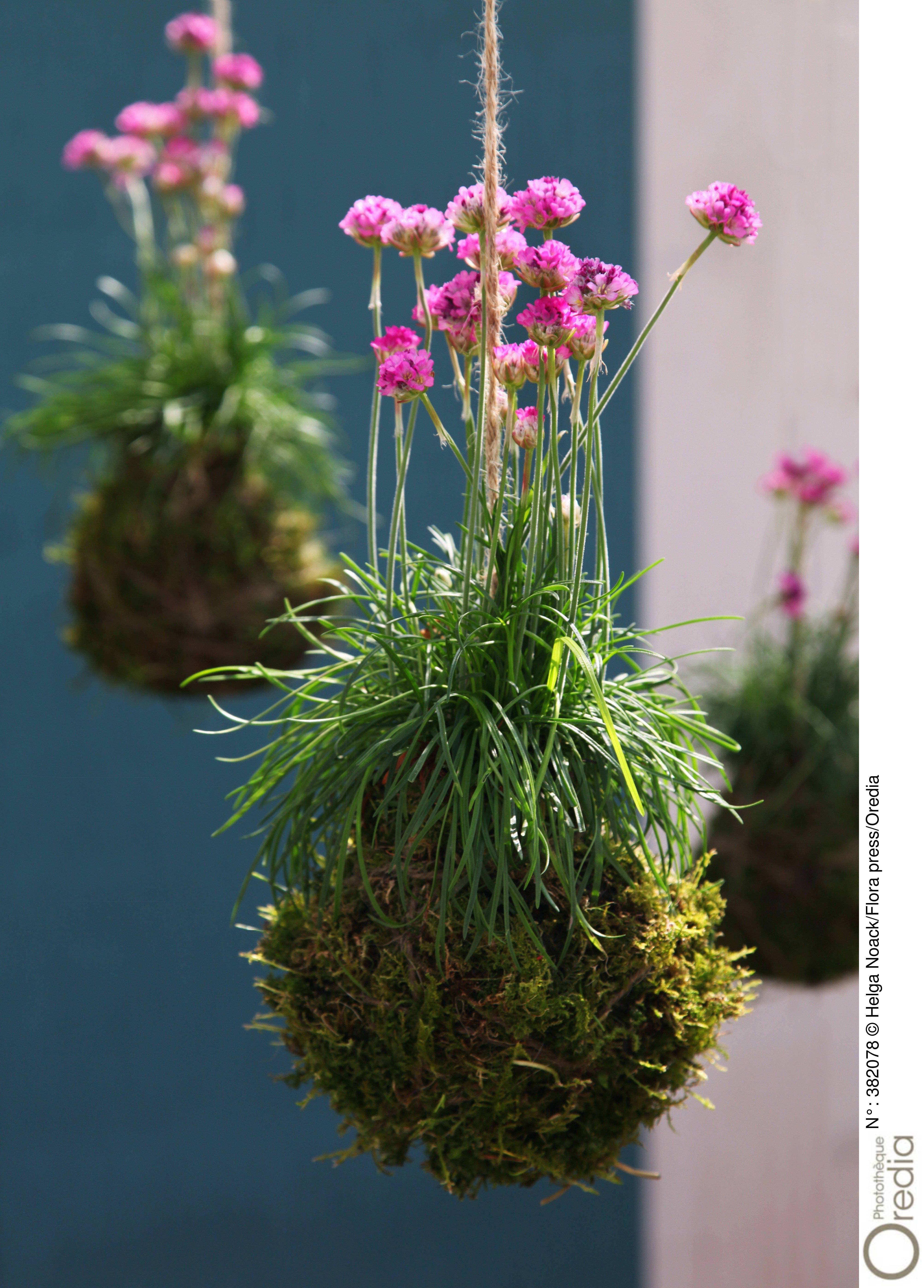 I make propose un large choix de kits art floral et mariage en ligne. Jardin suspendu : comment faire un kokedama : Femme