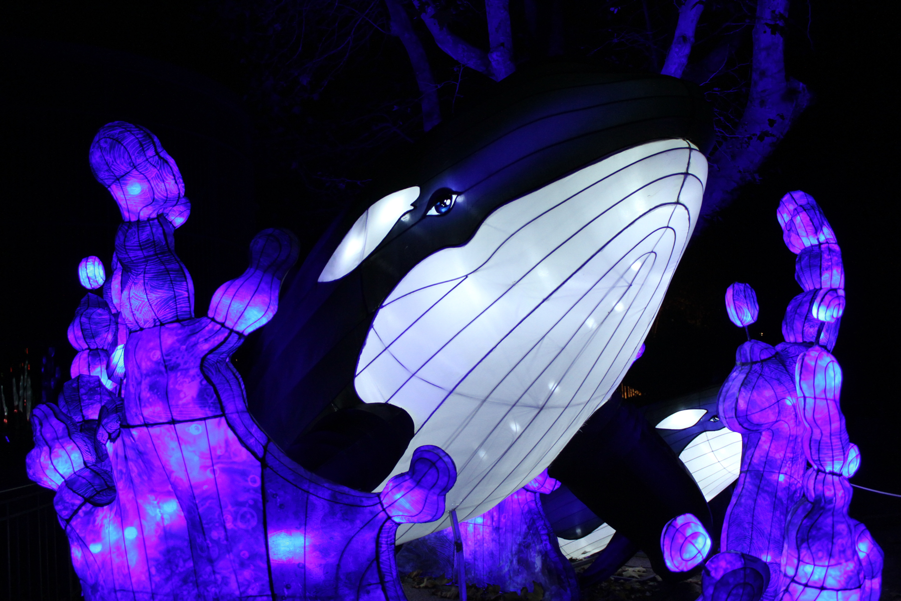 Luminous Lantern Representing Octopus Displayed During Exhibition Editorial Stock Photo Stock Image Shutterstock