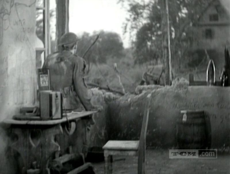 Beyondvictory5 Pre Code Com - Nature Texture Collection - 8K Quality