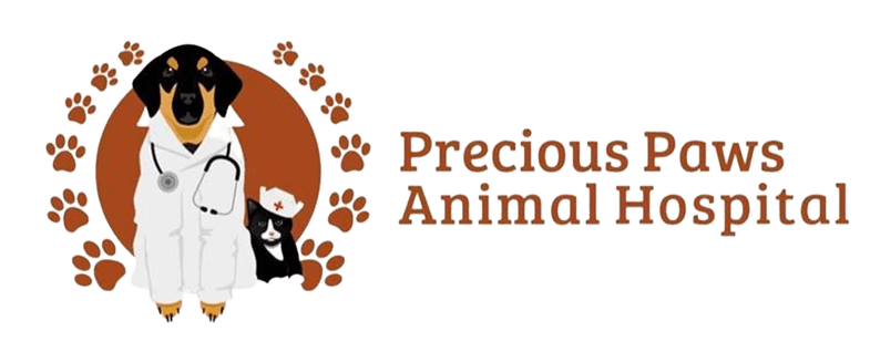 About precious paws animal hospital