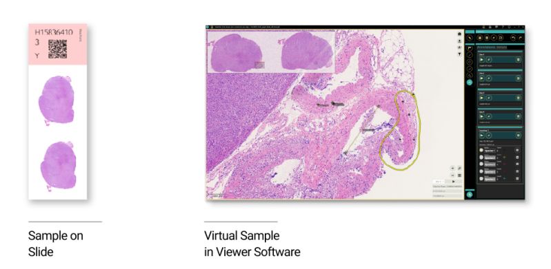 Virtual Microscopy Precipoint - Space Designs - Perfect High Resolution Collection