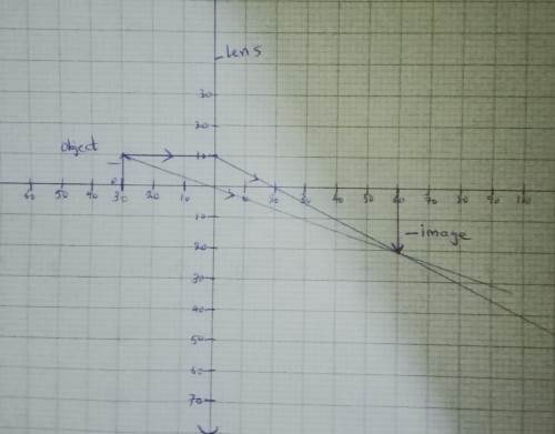 showing linear magnifications in ray diagrams