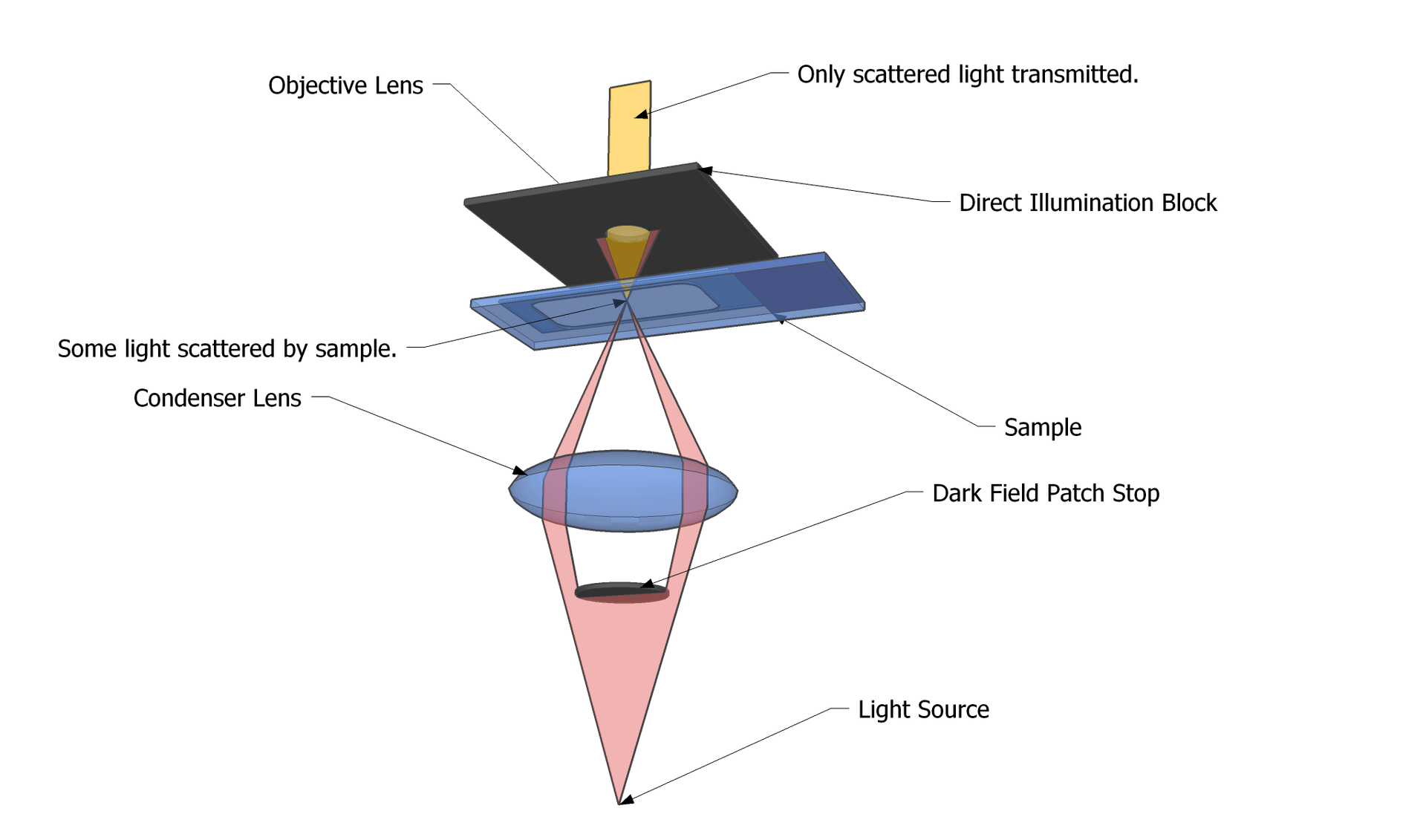 dark field microscopy illustration