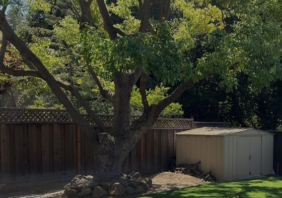 pruning-service
