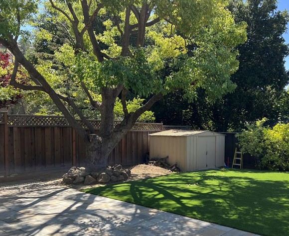 fine-pruning