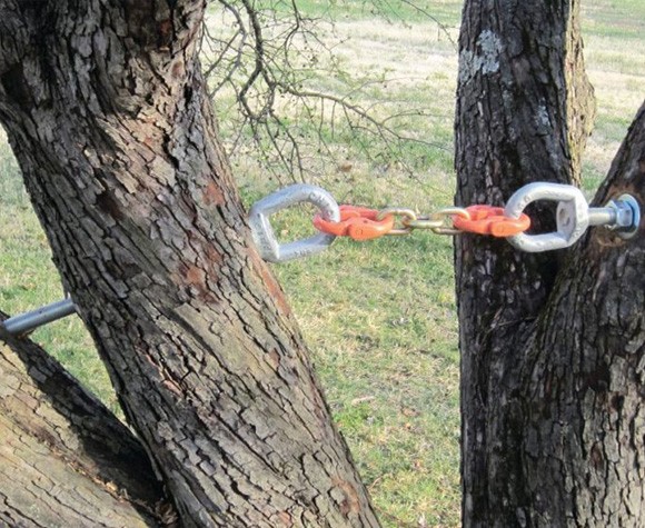 tree-cabling-bracing