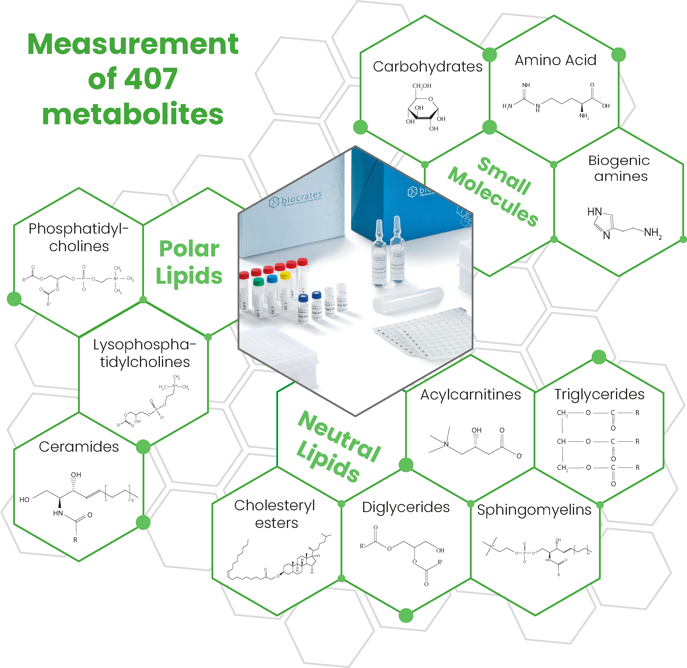 Lipidomics-Metabolomics Services