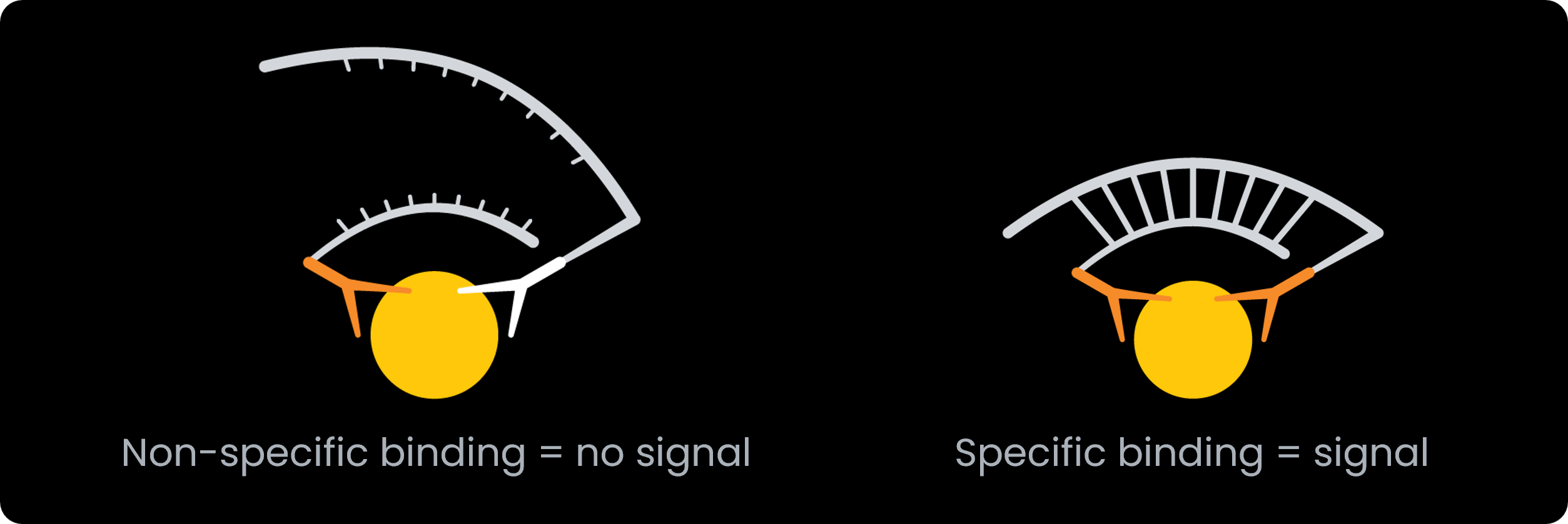proximity assay principle