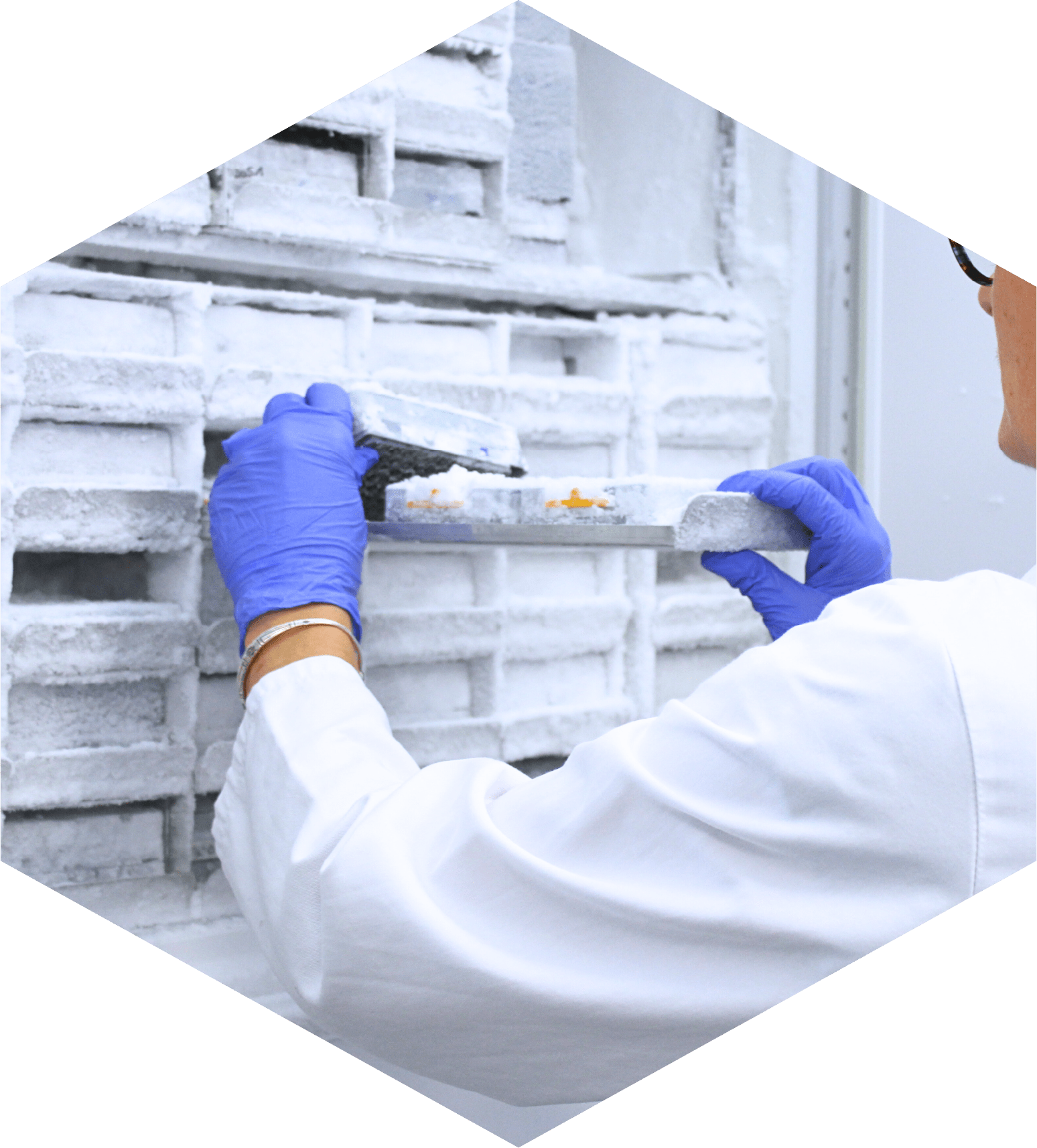 biobanking solution for biological and chemical samples