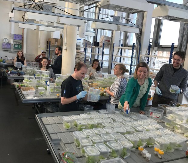 Our group working at the lab.