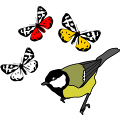 Ecology & Evolution of Interactions