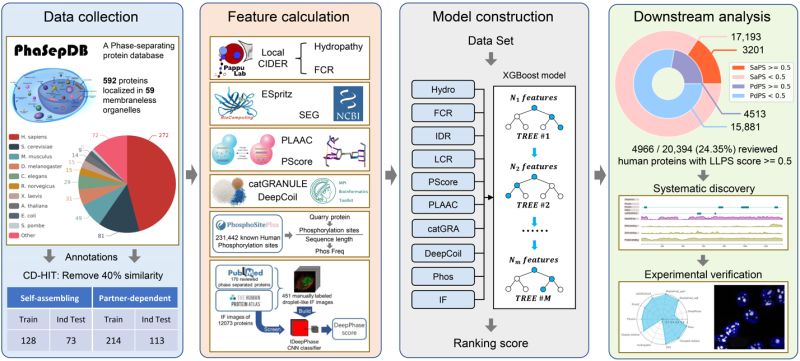 Pro Effects Phase Effects Database - Nature Background Collection - Mobile Quality