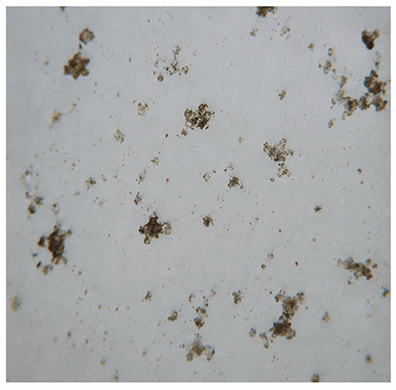 Aderco V25 fuel treatment - Before using