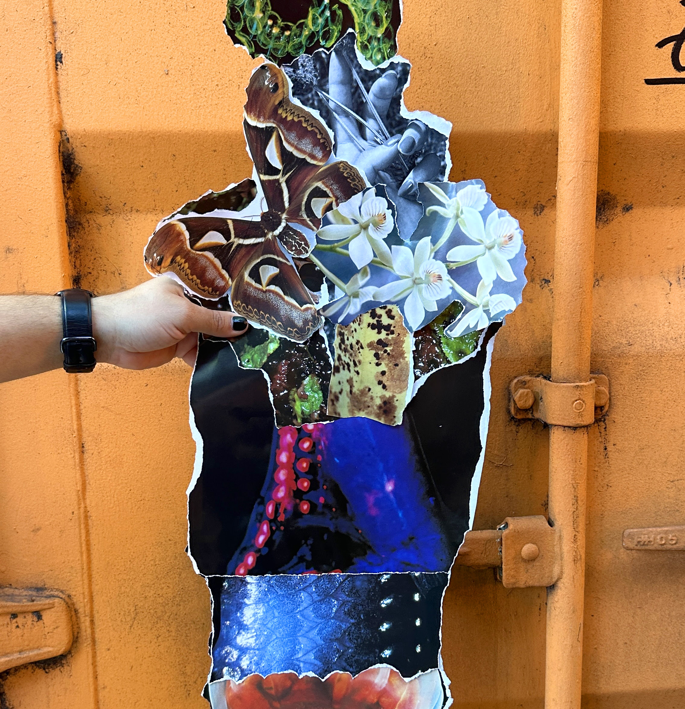 Thursdays at pamm: cut and destroy