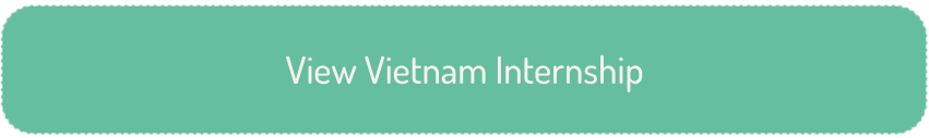 View Vietnam Internship Button