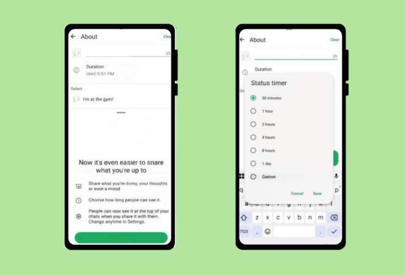 WhatsApp Timer and Status Customization