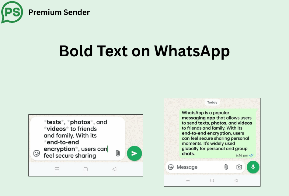 How to Bold Text on WhatsApp?