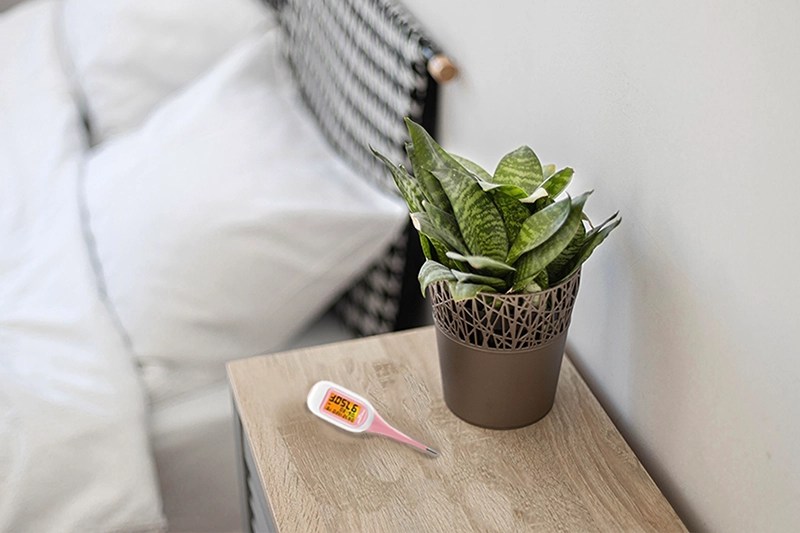 nighstand with bbt thermometer for ovulation testing