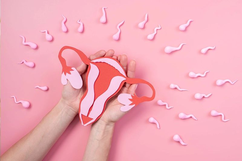 illustration of uterus with sperm swimming towards it