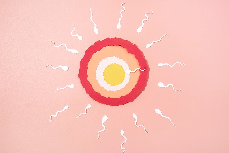 Two Week Wait Pregnancy Symptoms by DPO (Days Past Ovulation)