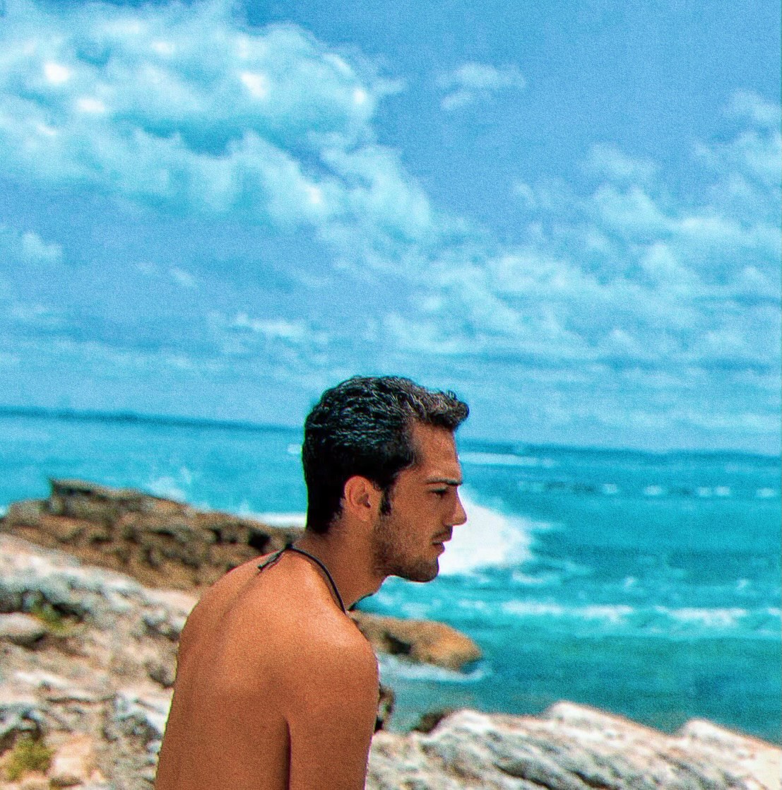 Image (3)