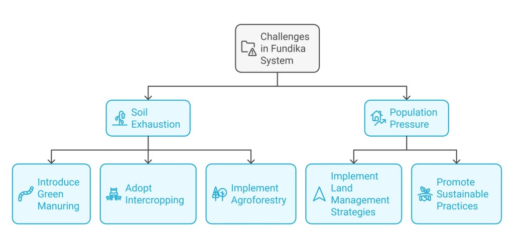 The Fundika System of Agriculture: A Sustainable Approach to Farming in Zambia 3 Challenges and Improvements in Fundika System of Agriculture