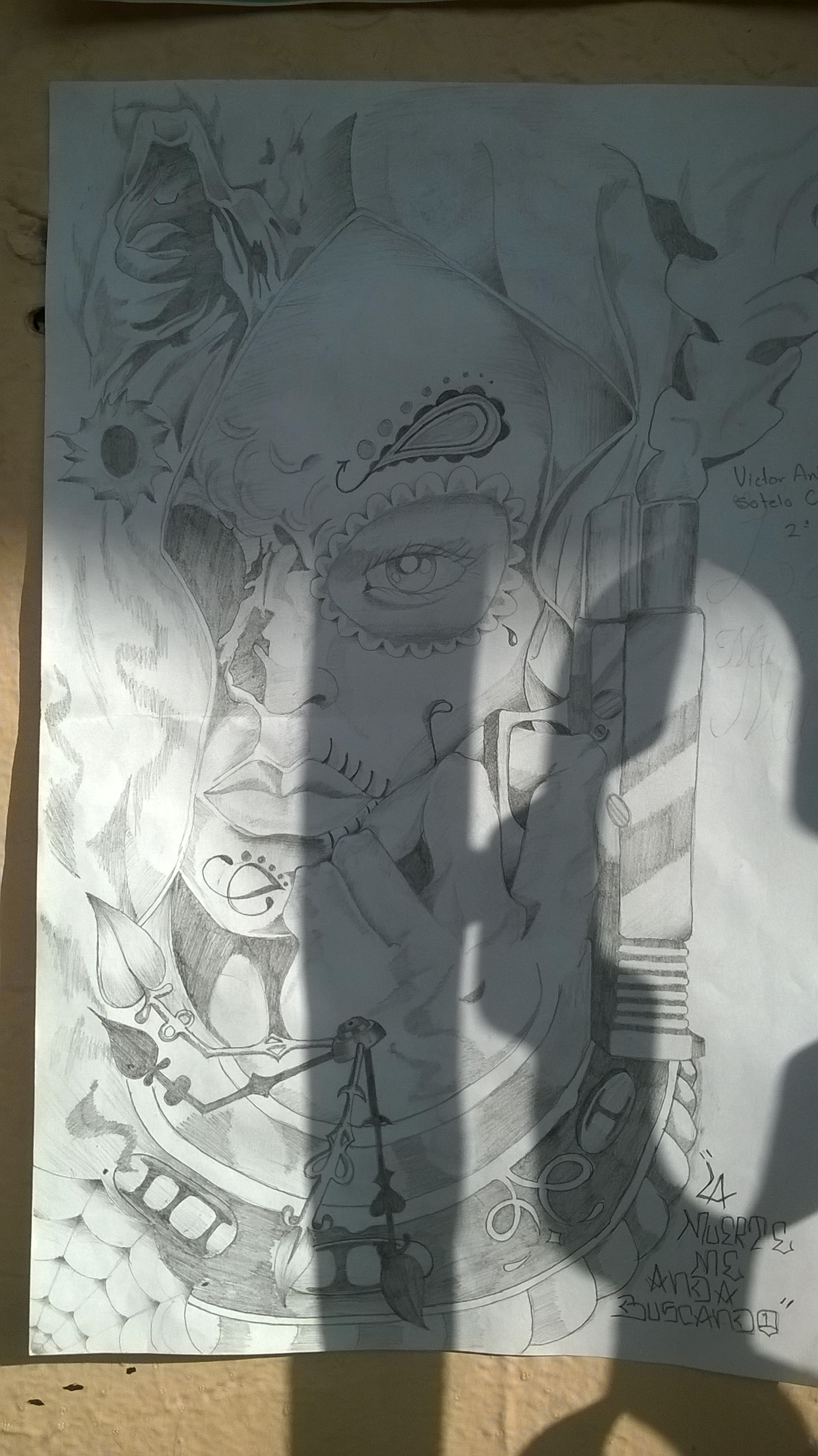 WP_20151029_08_53_15_Pro