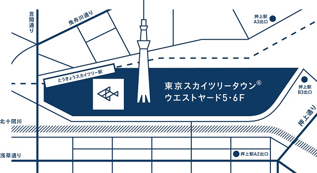 金魚ワンダーランド