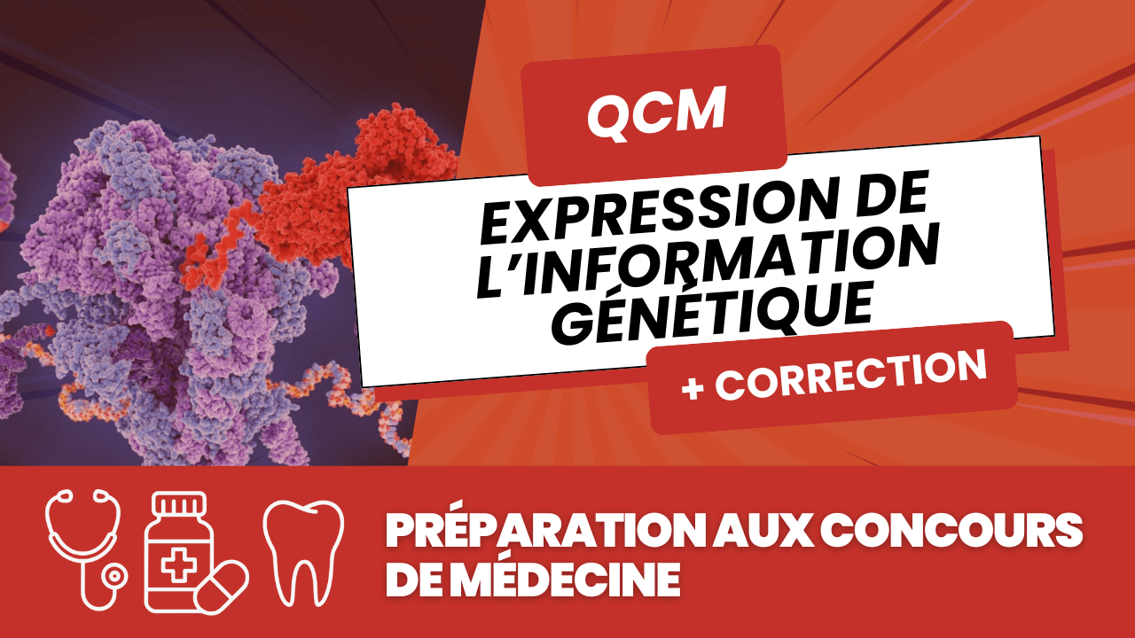 QCM gratuits Expression de l'information génétique