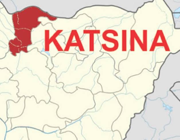 Police Kills 8, Recovers 30 Cows From Bandit
