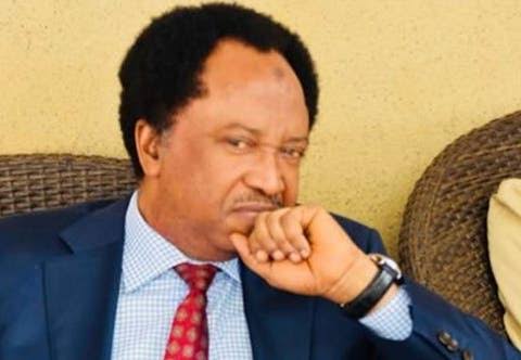 Edo Has Become Syria,Osho Al Bagdadhi -Shehu Sani