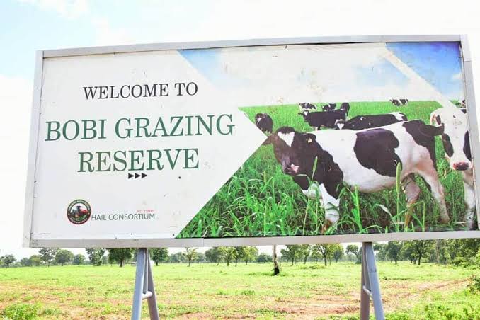 Bobi Grazing Reserve Making Progress,Can Feed 9,000 Cattles- Gov. Sani-Bello