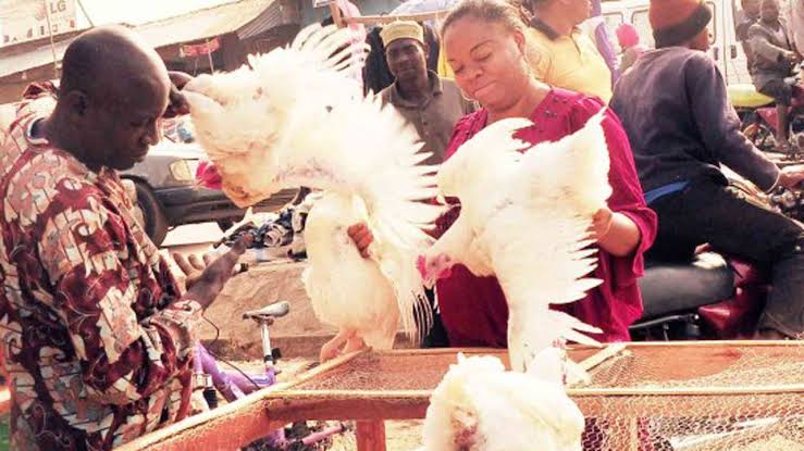LASG Disinfects Poultry Markets Against Bird Flu