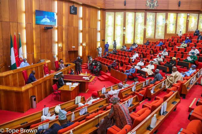 NASS: Bill To Strenghten Copyright Law, Punish Violators Scales 2nd Reading