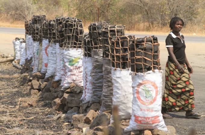 No Total Ban On Sales Of Charcoal, Firewood But On Roadside Sales In Some Areas- Borno Govt