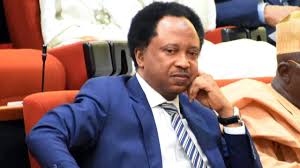 Ex-Lawmaker Shehu Sani Dumps PRP
