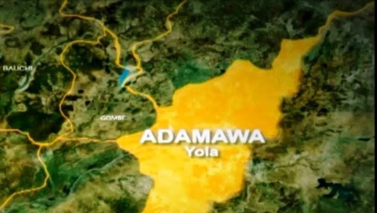 Suspected Boko Haram Terrorists Attack Adamawa Community, Kill 24
