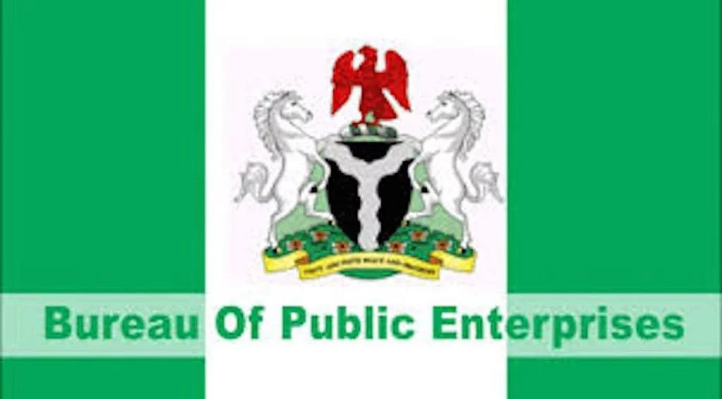 FG, State Governors Agree To Sell Five Power Plants- BPE