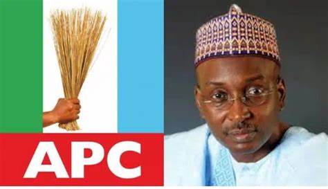 APC National Vice Chairman, Lukman Resigns