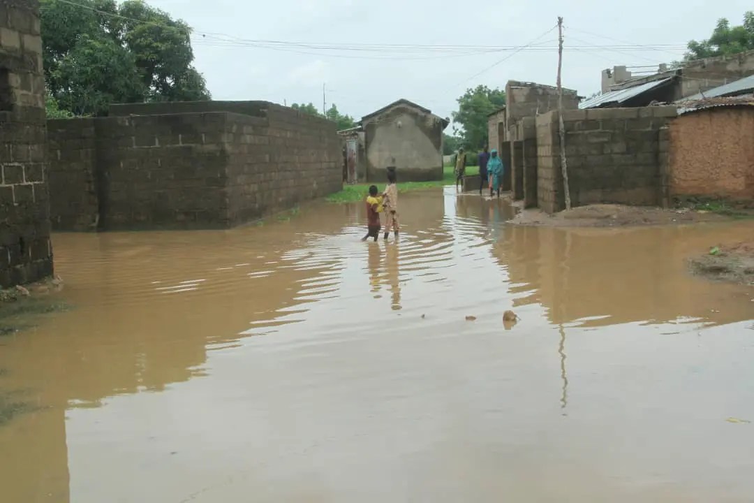 Death toll rises to 18 as flood destroy 200 houses in Bauchi