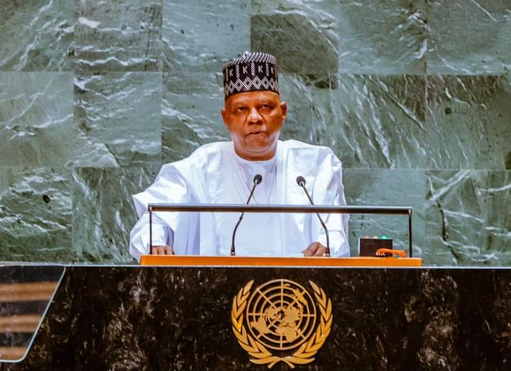 UNGA79: Tinubu seeks permanent UN Security Council seat for Nigeria